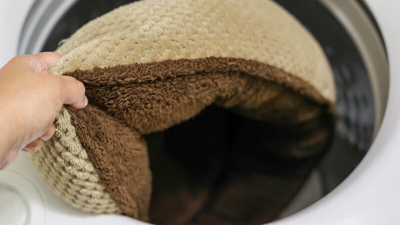 洗濯機からベット取り出す