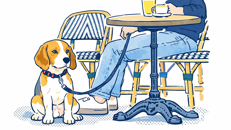 カフェにいる犬のイラスト