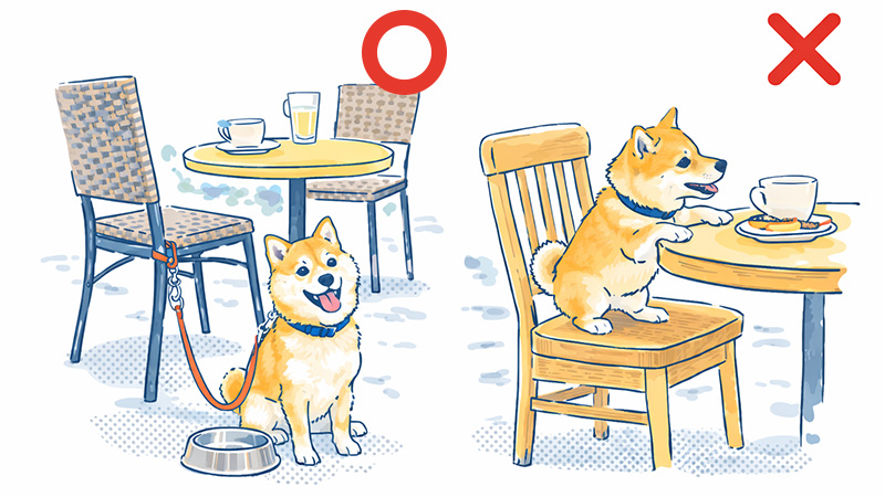 正しい犬の待機と正しくない犬の待機のイラスト